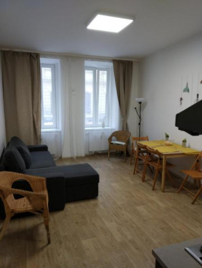 Apartmans in the center with privat parking Brno